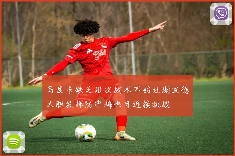 乌度卡缺乏进攻战术不妨让谢泼德大胆发挥防守端也可迎接挑战