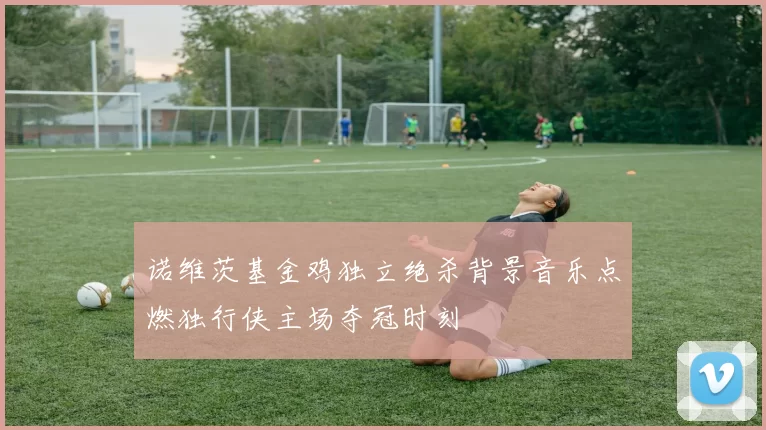 诺维茨基金鸡独立绝杀背景音乐点燃独行侠主场夺冠时刻