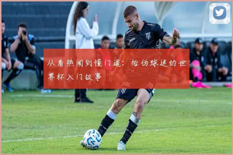 从看热闹到懂门道:给伪球迷的世界杯入门故事