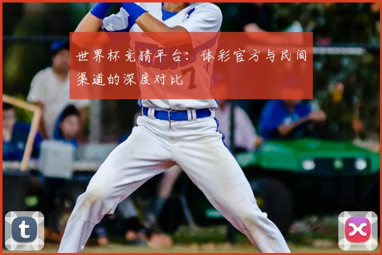 世界杯竞猜平台:体彩官方与民间渠道的深度对比