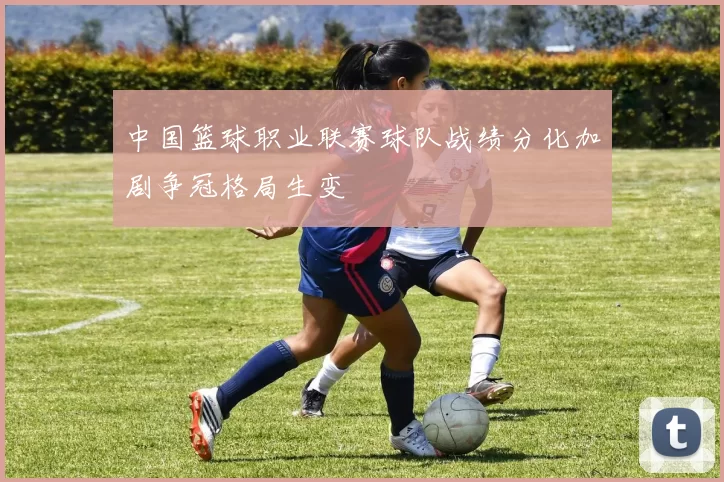 中国篮球职业联赛球队战绩分化加剧争冠格局生变