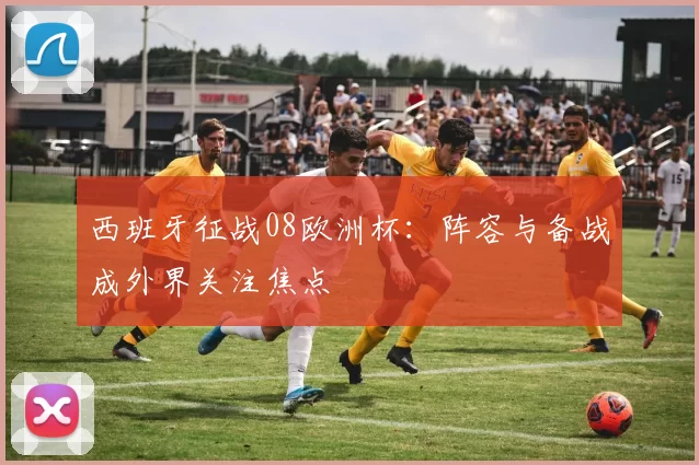 西班牙征战08欧洲杯：阵容与备战成外界关注焦点