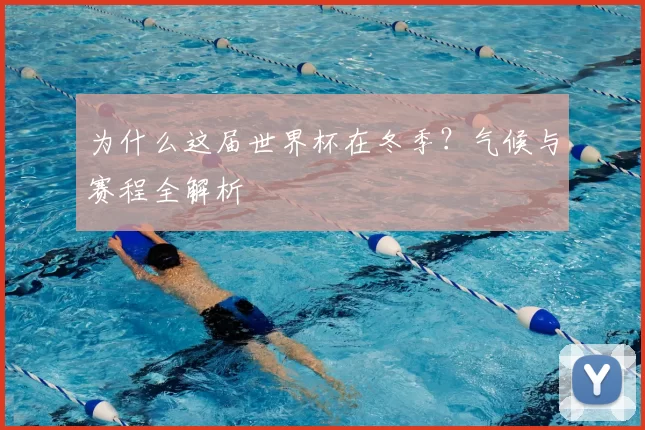 为什么这届世界杯在冬季？气候与赛程全解析