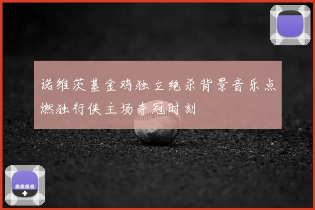 诺维茨基金鸡独立绝杀背景音乐点燃独行侠主场夺冠时刻