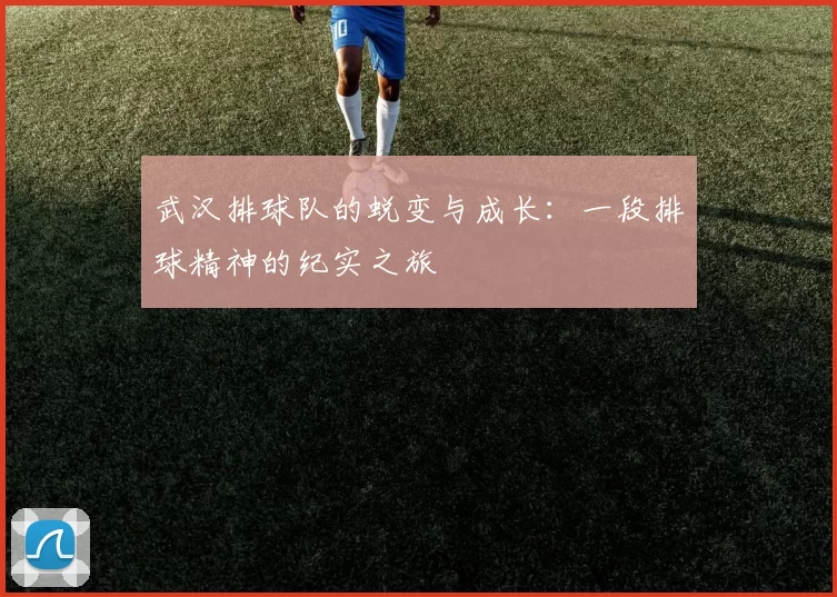 武汉排球队的蜕变与成长：一段排球精神的纪实之旅