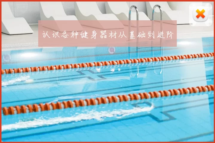 认识各种健身器材从基础到进阶