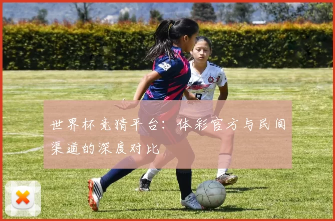 世界杯竞猜平台：体彩官方与民间渠道的深度对比