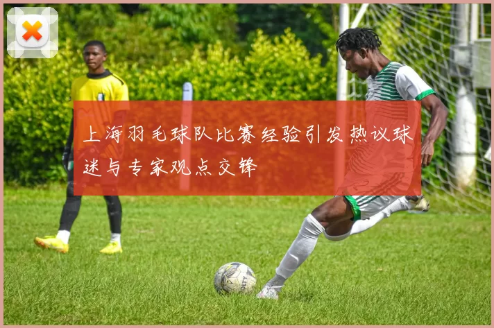 上海羽毛球队比赛经验引发热议球迷与专家观点交锋