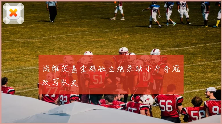 诺维茨基金鸡独立绝杀助小牛夺冠改写队史