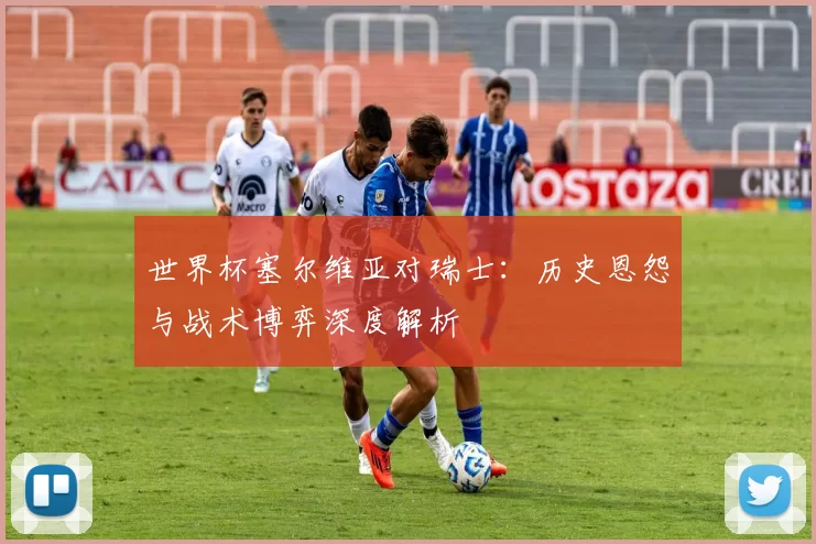 世界杯塞尔维亚对瑞士：历史恩怨与战术博弈深度解析