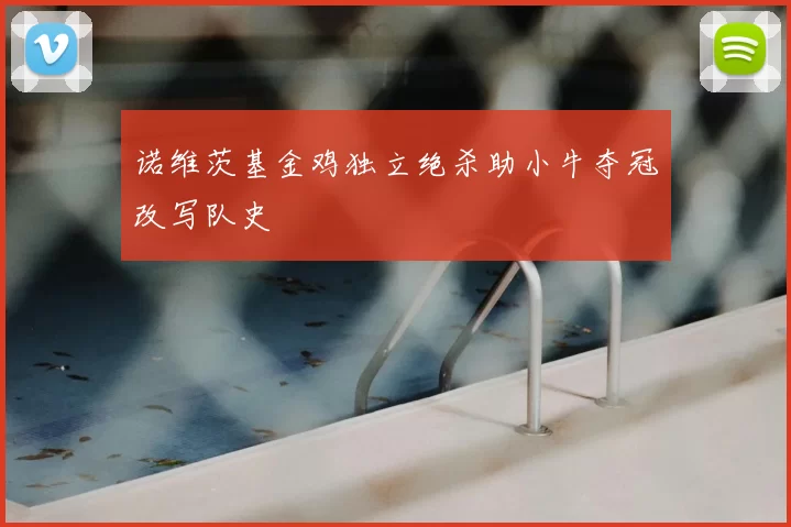 诺维茨基金鸡独立绝杀助小牛夺冠改写队史