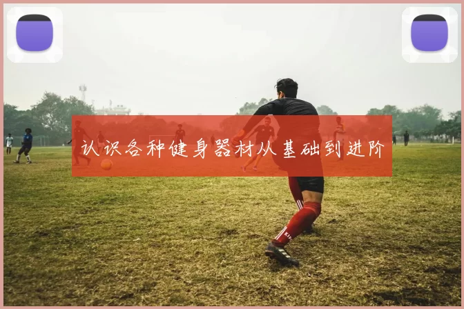 认识各种健身器材从基础到进阶