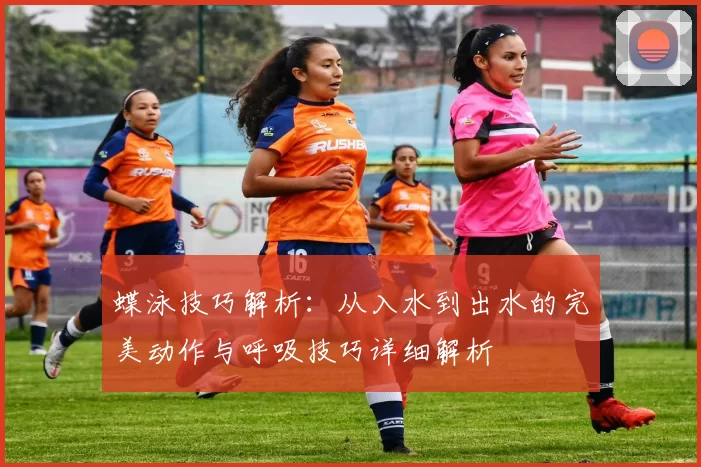 蝶泳技巧解析：从入水到出水的完美动作与呼吸技巧详细解析