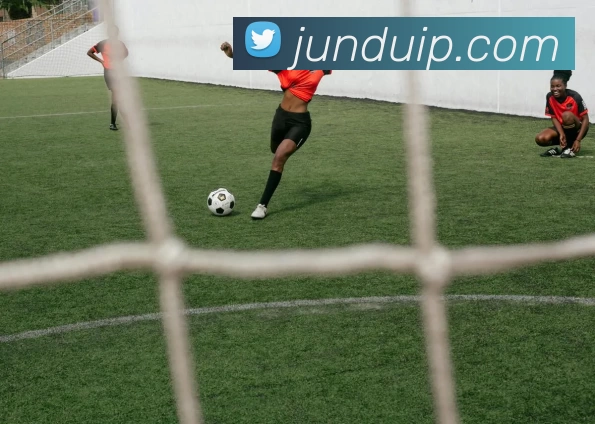 九游体育APP 高清赛事图